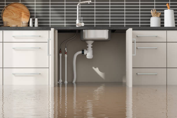 Wartburg, TN Water damage restoration Company